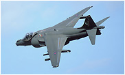 Harrier