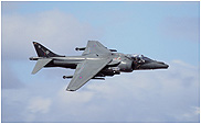 Harrier