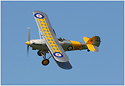 Hawker Nimrod