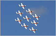 Snowbirds