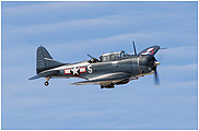 SBD Dauntless