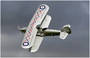 Hawker Demon