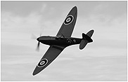 Spitfire