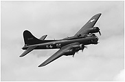 B17