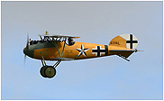 Albatros D.V