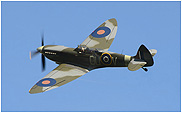 Spitfire