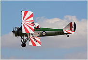 Avro Tutor