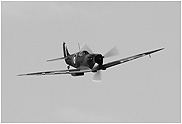 Spitfire