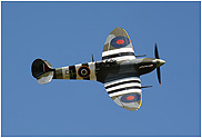 Spitfire