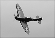 Spitfire