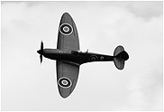 Spitfire