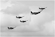 Blenheim + Spitfire x3 + Hurricane 