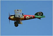 Albatros D.V