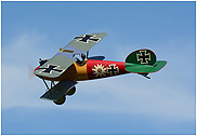 Albatros D.V