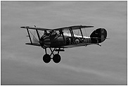 Sopwith Snipe