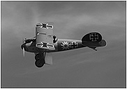 Albatros D.V