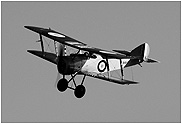 Sopwith Pup