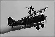 Stearman