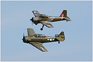 T-6 Texan + Piston Provost