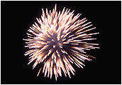 Firework