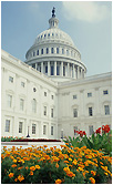 US Capitol